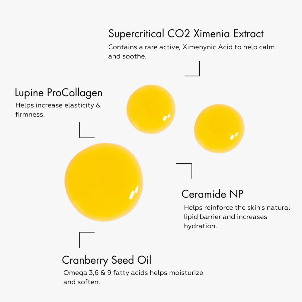 CERAMIDE BARRIER REPAIR OIL | Face oil | LOSHEN & CREM